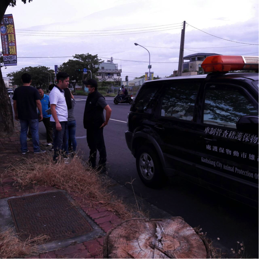 楠梓區浪犬遭毒殺案，由愛媽通報警方會同動保處前往處理。賴愛媽/提供
