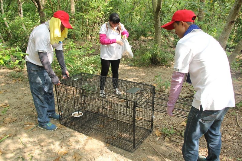 今年度標案模式為請通過訓練課程的專業人員捕犬，以遵循動物福利之方式移除，後端則安置到高雄市動保處之收容所。　取自壽山國家自然公園官網