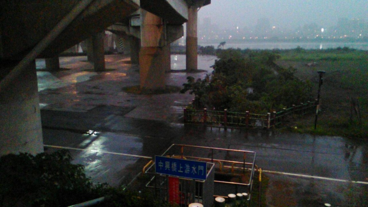 中秋節當天，有3隻流浪狗受困沙洲，所幸後來全數自行脫困。   新北市動保處/提供