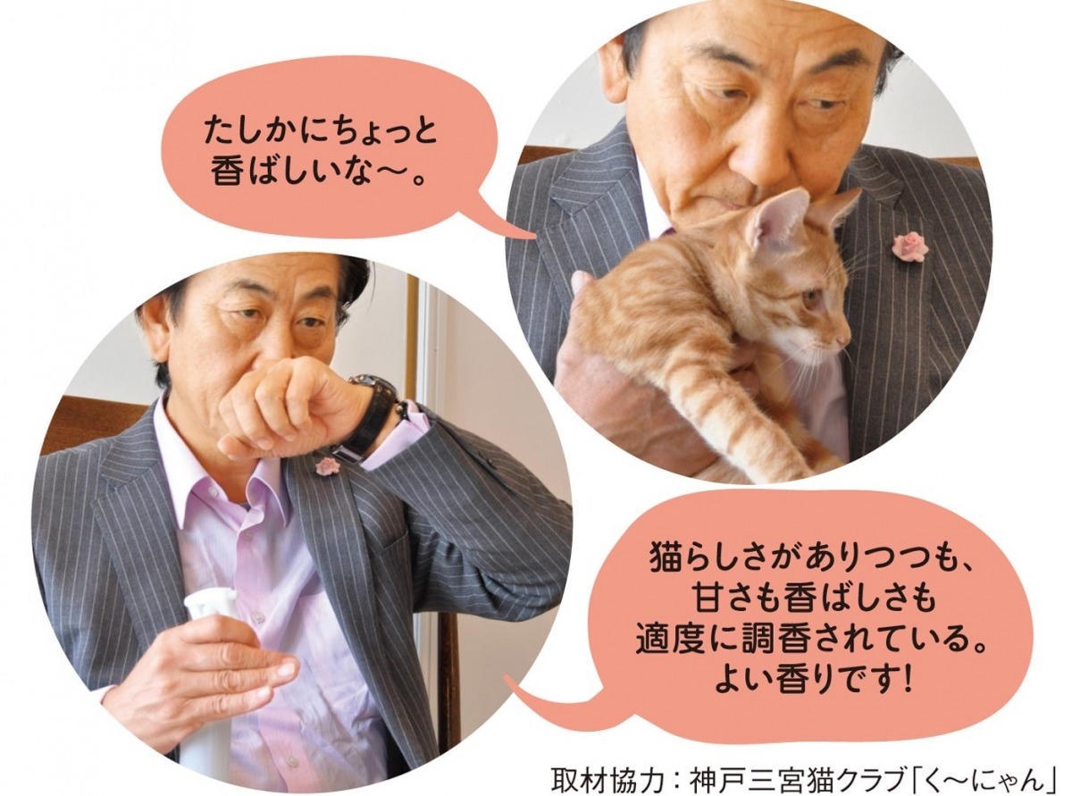 取自Felissimo貓部