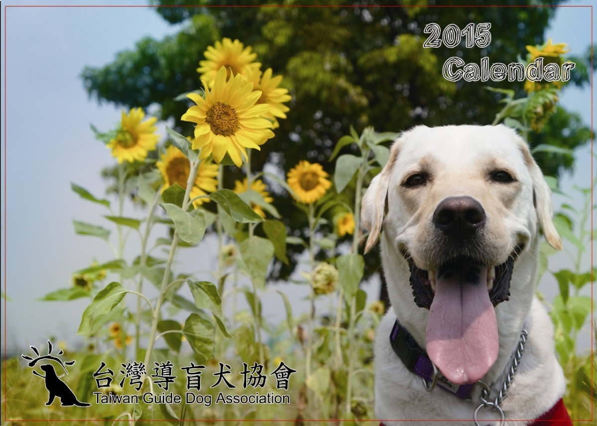 台灣導盲犬協會每年推出的掛曆、桌曆也都相當受歡迎。　何宜/攝