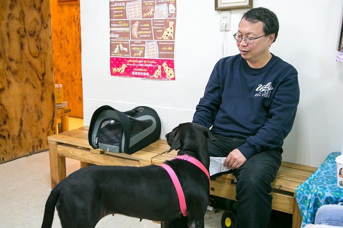 湖光動物醫院自許為社會企業，設立認養櫥窗和流浪動物的醫療優惠。邱子喬/攝