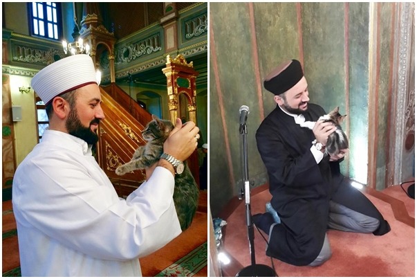 喵曰:「有愛心的男人太帥了!快放開我~」 取自Mustafa Efe臉書