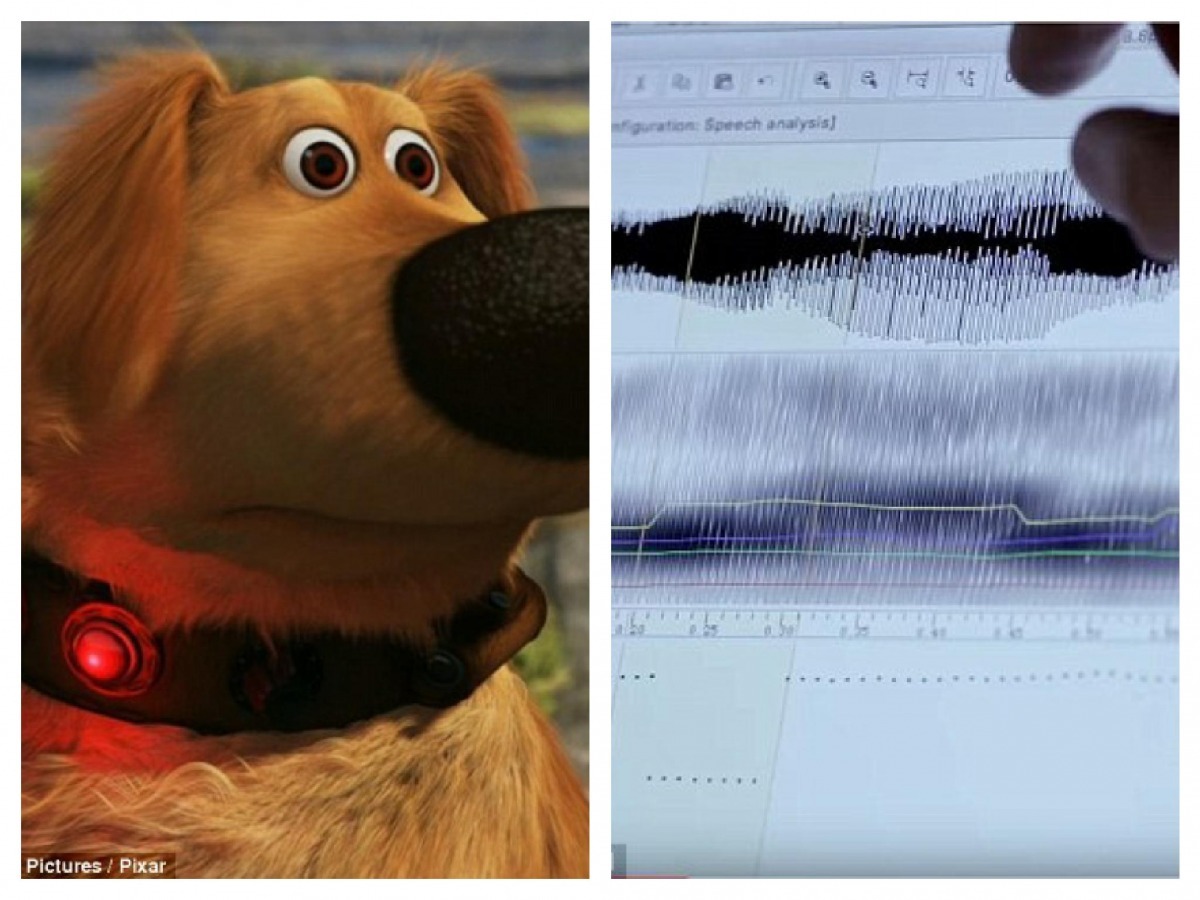 研究者表示，貓語項圈的功能就像是天外奇蹟裡頭狗狗配戴的項圈一樣。  翻攝自每日郵報