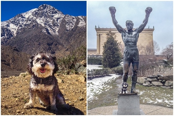 滿臉笑容的威利是不是超級可愛呢？　翻攝自每日郵報