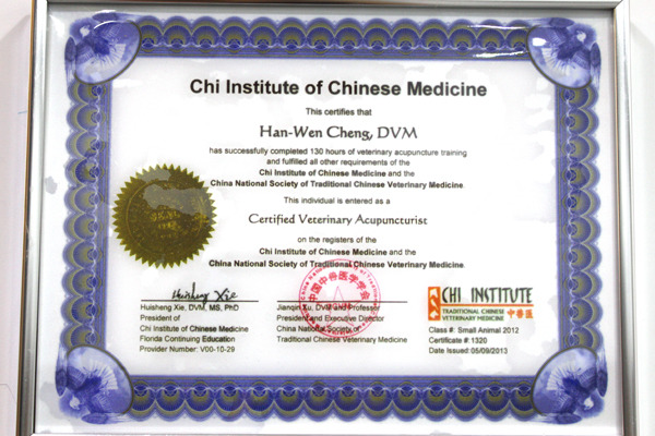 Chi Institute頒發的針灸認證，鄭漢文說目前國際只有兩個協會頒發針灸認證，一個是Chi Institute，另一個叫IVAS。　何宜/攝