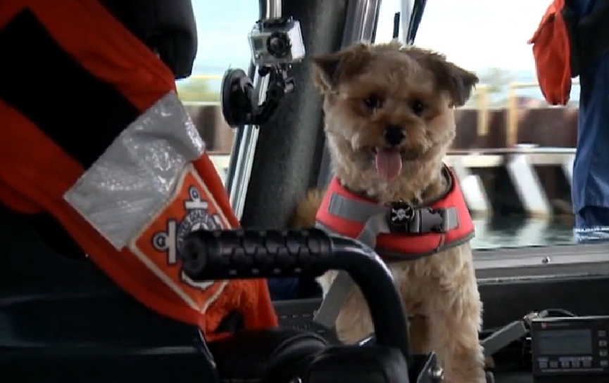 嬌小的巴納哥穿上救生背心後有模有樣，在他到隊上的第一天就用這個姿態擄獲所有人的心。　翻攝自CNN影片