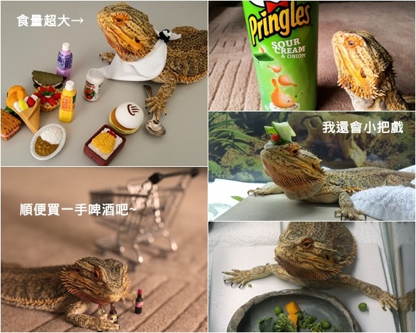 飲食還要攝取均衡營養，雖然有時候不小心會買啤酒，不過我還是有多吃水果！　取自tumblr