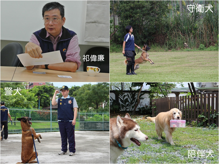 新北市3月底將和屏科大祁偉廉合作,訓練犬隻特色認養,可望培養工作犬、守衛犬及陪伴犬。(右上圖為鐶球警犬學校、右下為寶貝狗協會之示意圖) 何宜、李娉婷/攝