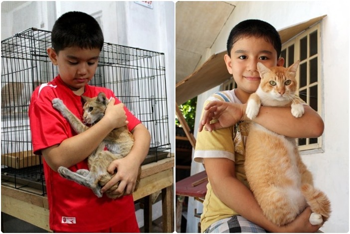 天花板在近收容所時，跟幾個月後差距相當大！　取自快樂動物俱樂部官網