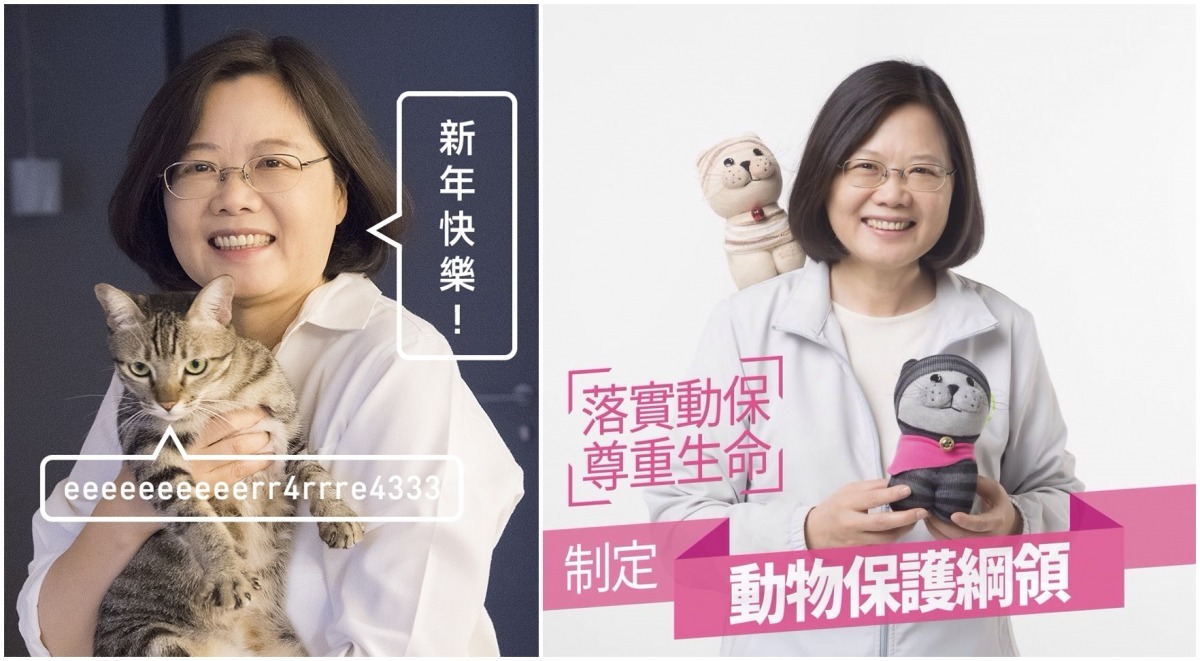 唯一的女性候選人，也是唯一的「貓派」飼主。　取自蔡英文 Tsai Ing-wen