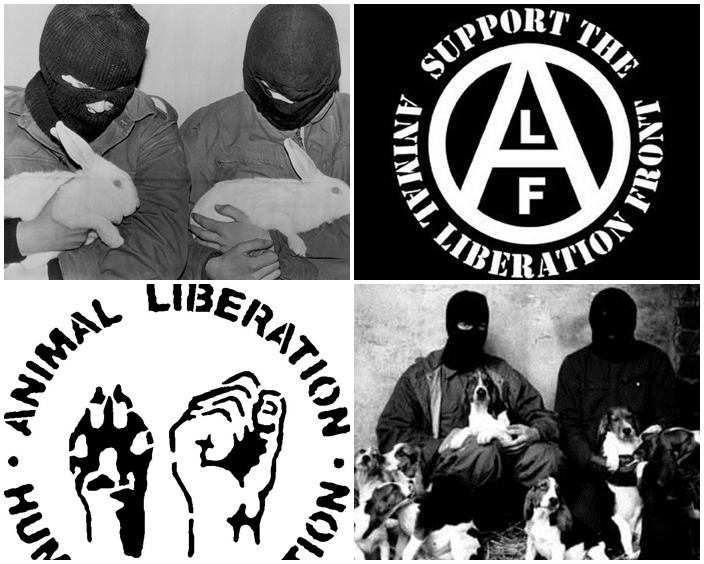 動物解放陣線沒有特定成員，只要符合其宗旨所做的行動都可以算是動物解放陣線的行動。　取自網路