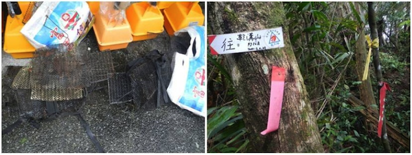 (左圖)清除舊有盜獵鼠籠、(右圖)拆除核心區舊有登山路條。　翡管局/提供