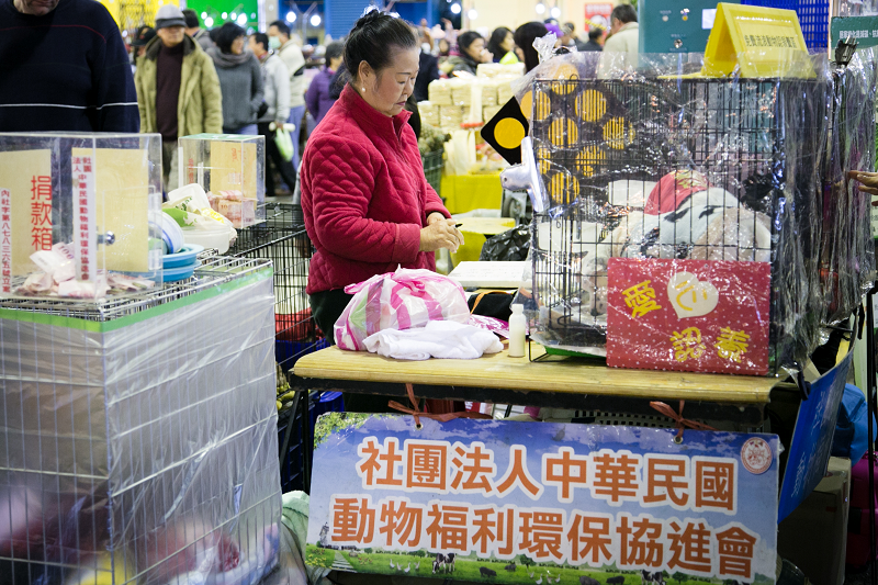 劉香蘭和動物福利環保協進會於週末假日在建國花市提供免費領養。邱子喬/攝