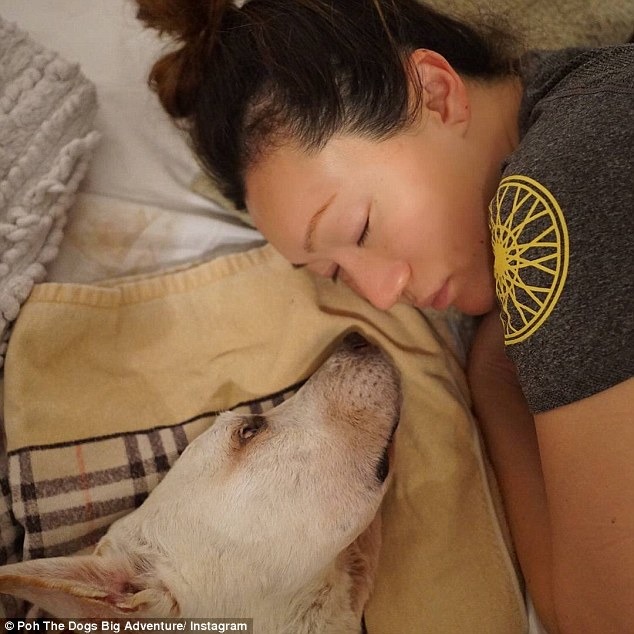 Poh努力撐到媽媽回家,才讓身體開始惡化。 翻攝自每日郵報