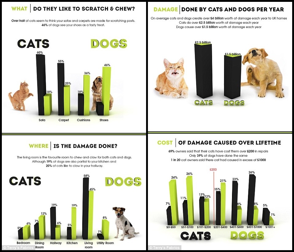 泰瑞布料公司也統計出貓、狗最愛破壞的家具，貓造成的損失高出狗許多！　翻攝自每日郵報