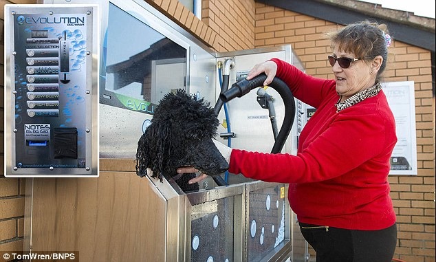 這台機器就像自動販賣機一樣,投入硬幣後可以在有限時間內選擇不同的功能。 翻攝自每日郵報