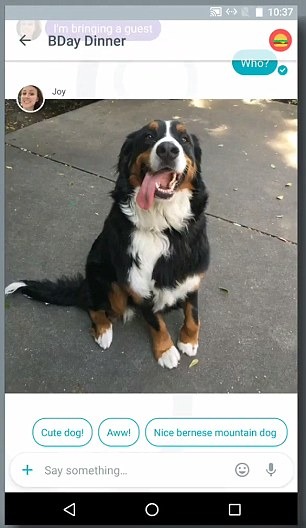 將來使用Allo系統，它會幫你分辨狗狗的照片，還會告訴你可不可愛！   翻攝自每日郵報