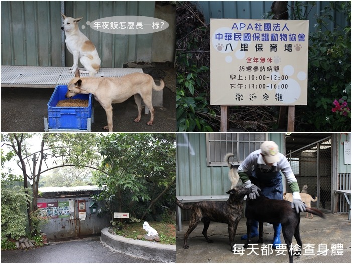 過年期間人力是平常的一半,民眾若想參觀可以春節過後再來。 何宜/攝