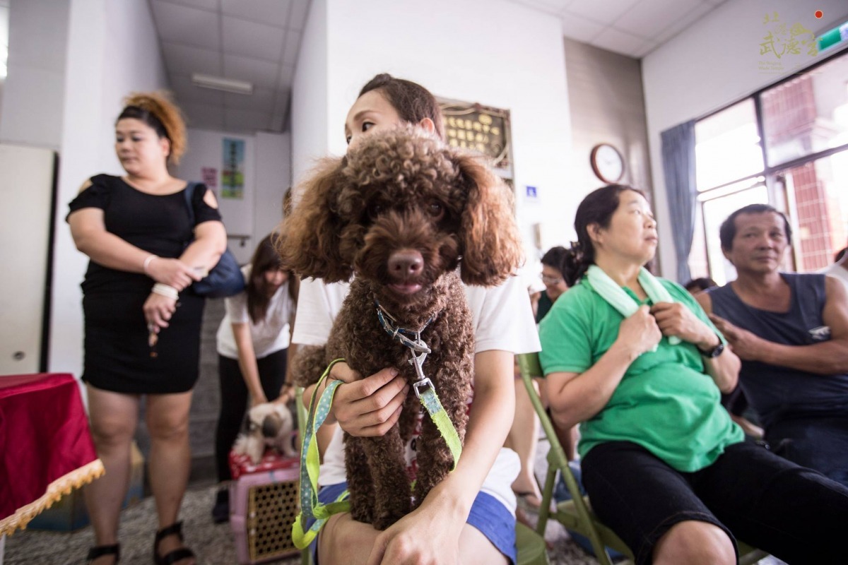 雲林北港武德宮供奉財神爺，在財神爺應允之下投入千萬資金幫助在地流浪動物。　取自北港武德宮-財神開基祖廟臉書