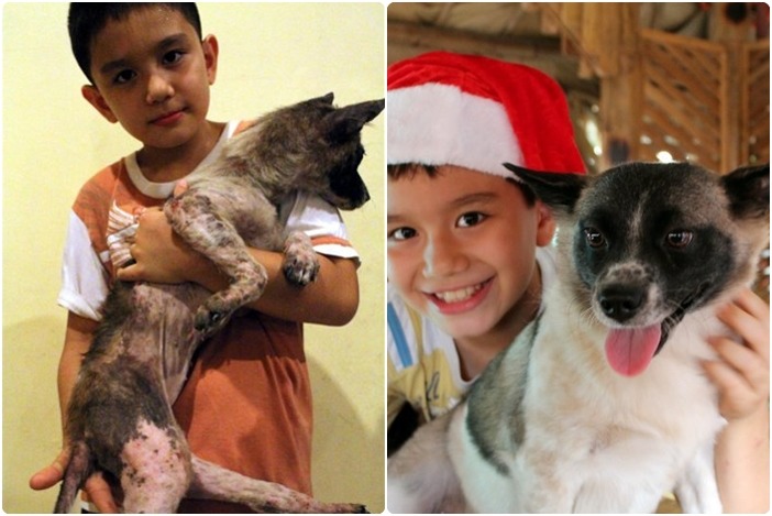 取自快樂動物俱樂部官網