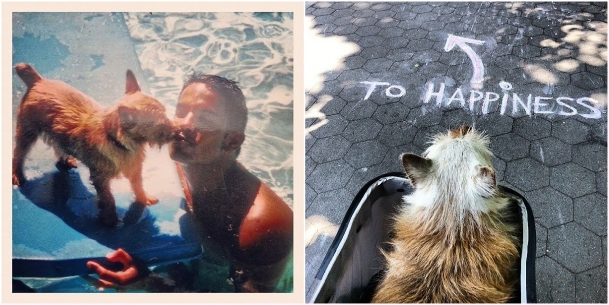 謝謝你從小就陪伴在我身邊,未來你要去的地方是「幸福」之處,不要怕,在那裡乖乖等我去找你。 取自網路