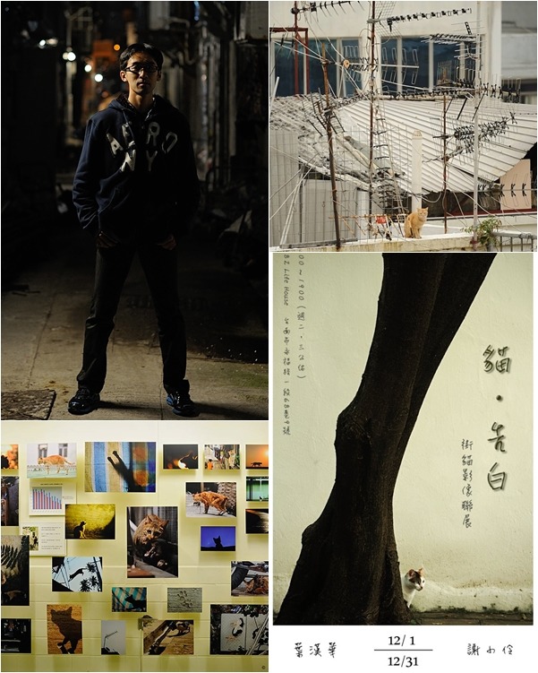 葉漢華(左上)及此次在台南舉辦的喵告白攝影展。　葉漢華/提供