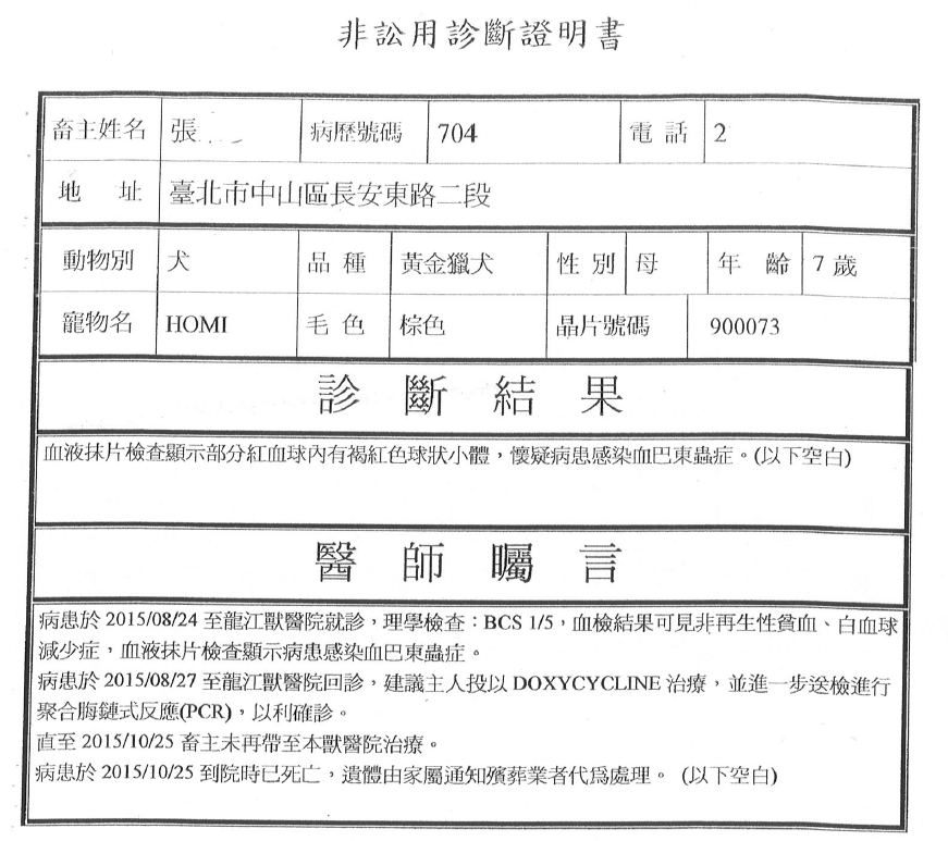飼主有帶狗狗就醫,卻沒有按時回診,狗狗最後死亡。 陳建銘議員辦公室/提供