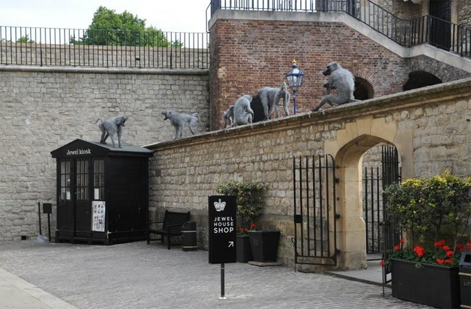 遍布倫敦塔四周的野生動物,包含一群蹲據在圍牆上的獼猴群。 取自Kendra Haste臉書