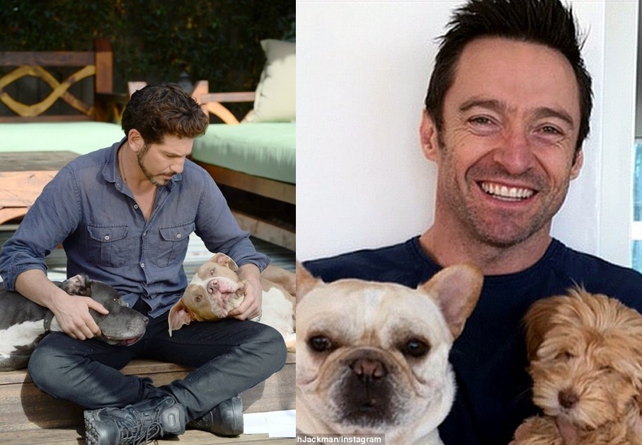 「虎父有犬子」！看看這兩位疼愛寵物如同小孩的明星狗爸們。　取自網路