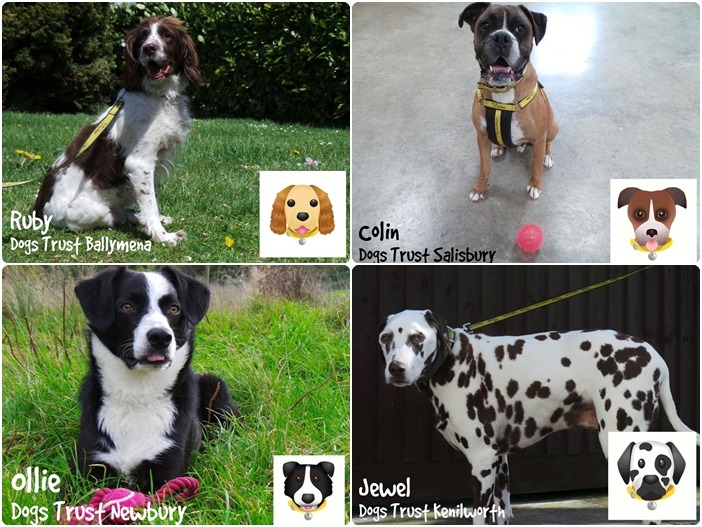 Dogs Trust根據收容所內不同的狗狗品種去設計表情符號，希望替牠們找到幸福的家。　取自Dogs Trust臉書
