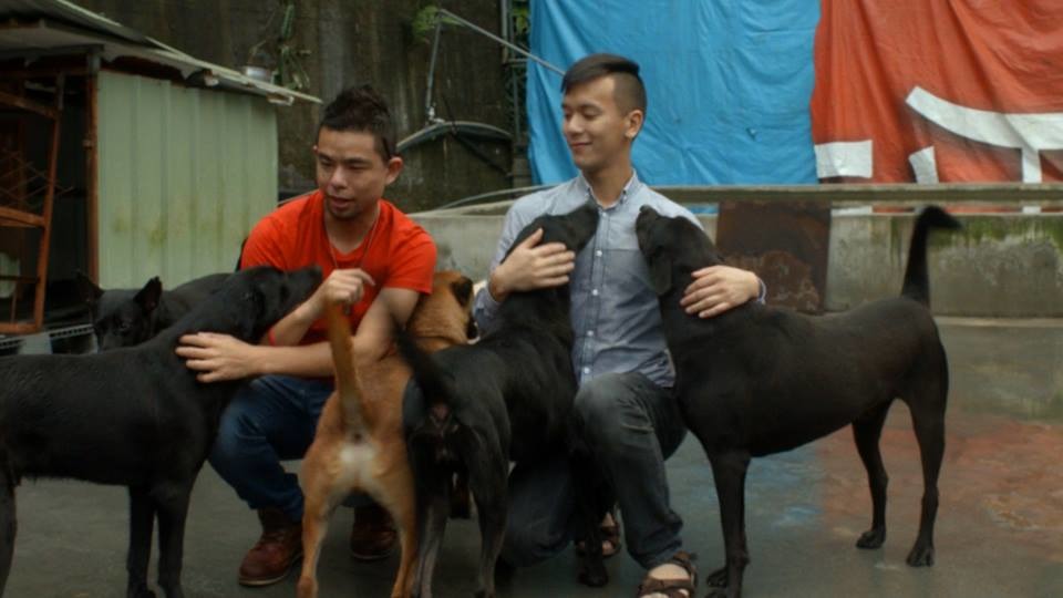 看到張媽媽狗園裡上百隻或許要在收容所過一生的狗狗，Jeremy跟Brian除了震懾之外，內心也五味雜陳，希望能藉由影片讓更多人「以領養代替購買」。　　取自LIFE of BRI