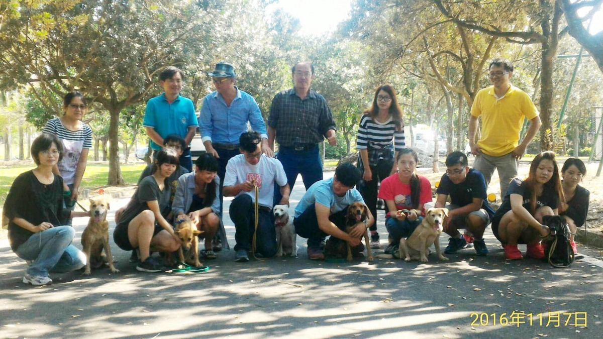 嘉義縣家畜疾病防治所日前與民間合作，進行犬隻訓練及合作送養等等，並有許多措施因應明年零安樂政策。　嘉義縣防治所/提供