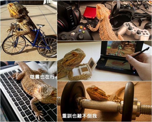 想成為陽光型男，就要多從事戶外運動，像是騎單車、重訓，不過其實最常宅在家打電動啦哈哈！　取自tumblr