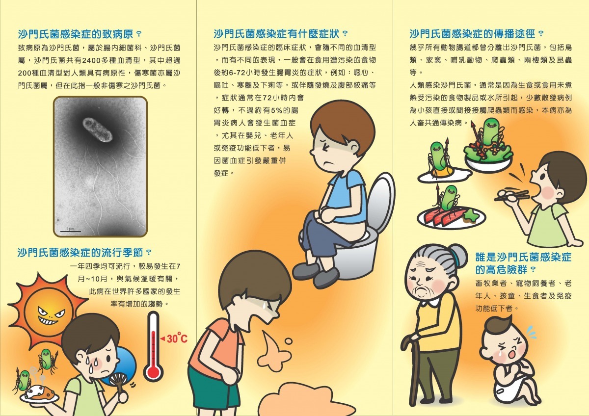 認識沙門氏桿菌病症。　取自衛福部官網
