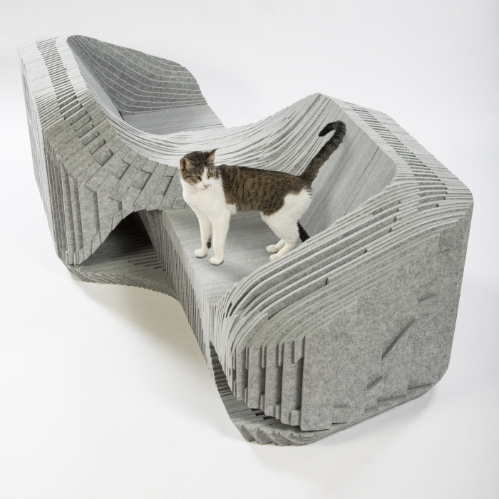 這個造型特殊的椅子是否相當吸引目光呢！   取自Architects for Animals