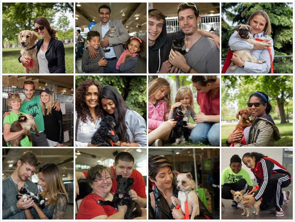 上週加拿大多倫多數個動物保護團體,聯手舉辦第二屆的超級寵物送養會,不到3天就送出600隻動物! 取自PetSmart Charities