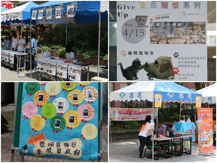 學生會會長蔡亮宇說,因為校規中有規定寵物不能進入教室,所以學生會還幫事前有報名參加的同學請了公假。 何宜/攝