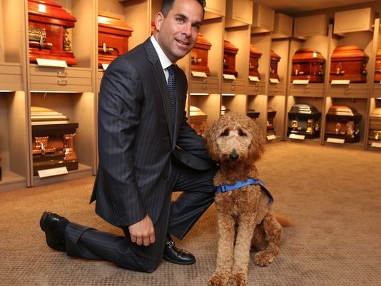 馬修說，露露只會出現在需要牠存在的場合，不會造成其他人困擾。 取自life with dog