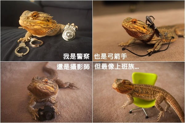 我也有許多專長，人類界的職業我也都略懂略懂！　取自tumblr