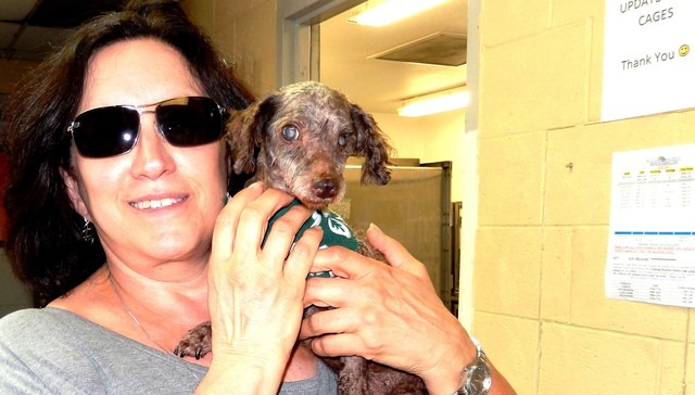 邦妮因為看到網路上的報導，隔天就搭飛機去將狗狗帶回家。　翻攝自The Dodo