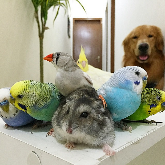 ㄟㄟㄟ…..我被排擠了嗎？