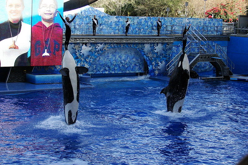 被撤下的動物福利法資訊，包含對馬戲團、海洋世界、實驗室等機構的調查資訊。　David R. Tribble, Wikimedia Commons