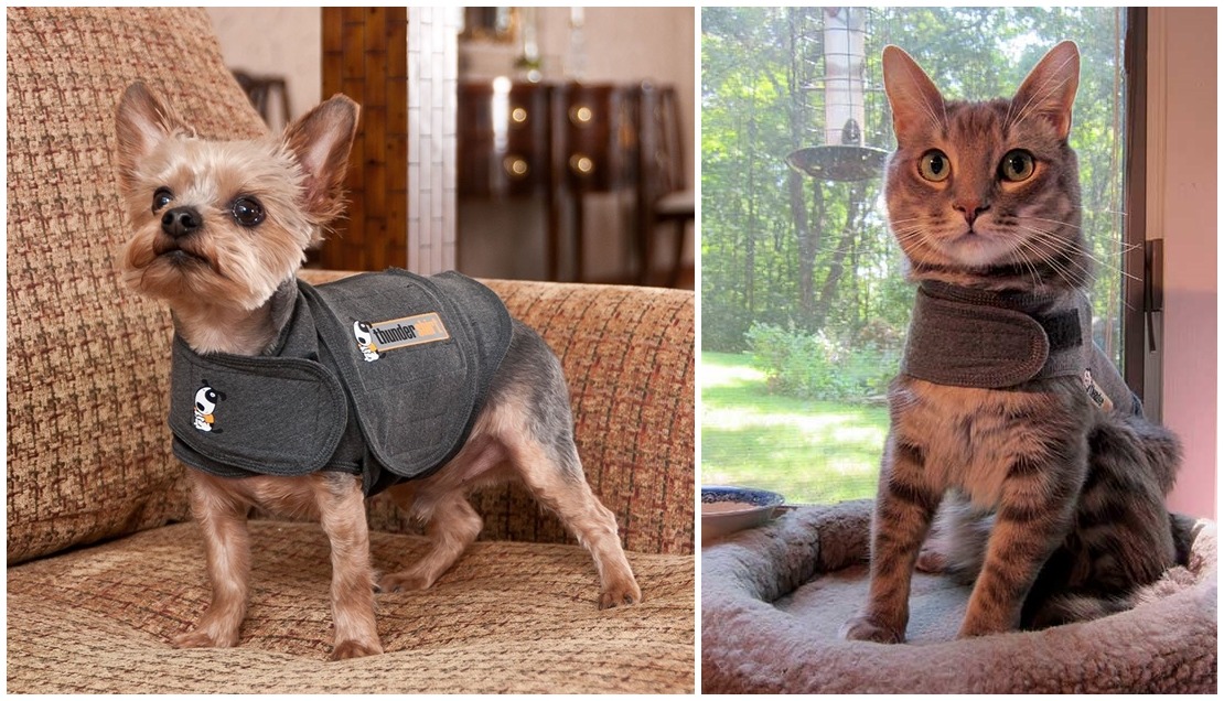 國外有許多飼主會替家中貓狗穿戴安定背心，讓牠們能感到放鬆。　取自(左圖)amazon、(右圖) shelter-cats.com