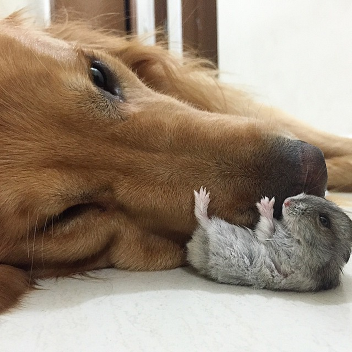 「來～幫你檢查鼻孔！」