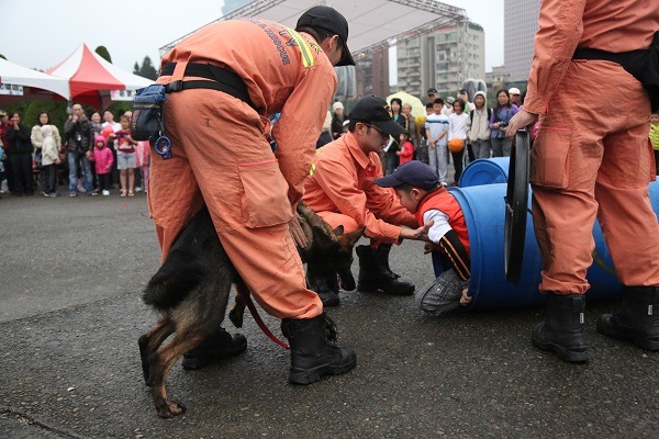 工作犬已經習慣工作的生活，可能在進入家庭後會有點不適應，需要飼主多多包容。　台北市消防局/提供