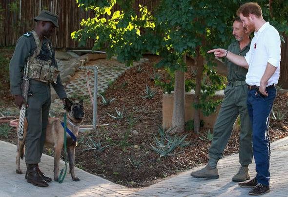 英國哈利王子也曾在近期參訪南非行程時，特別去看看這位保育英雄。　取自COPAL