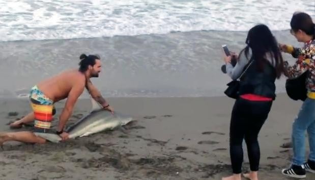 男子將鯊魚釘在沙灘上擺出姿勢讓一旁路人拍照。　影片截圖