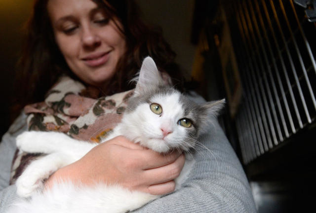 辣妹個性親人，被收容協會的員工抱著就開始打呼嚕。　取自Portland Press Herald