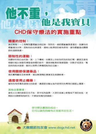 犬髖關節狗友會關於保守療法的海報。　取自網路